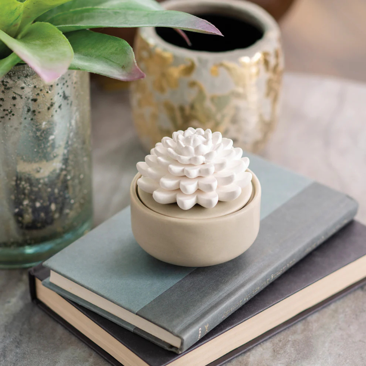 Porcelain Succulent Airome Passive Diffuser